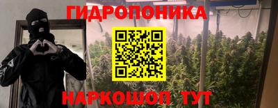 сатива Мариинск