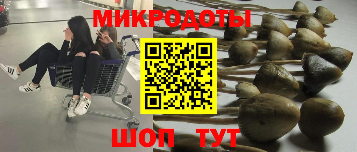 Соль-Илецк  Псилоцибиновые грибы MAGIC MUSHROOMS  Псилоцибиновые грибы ЛСД  Вход с VPN 